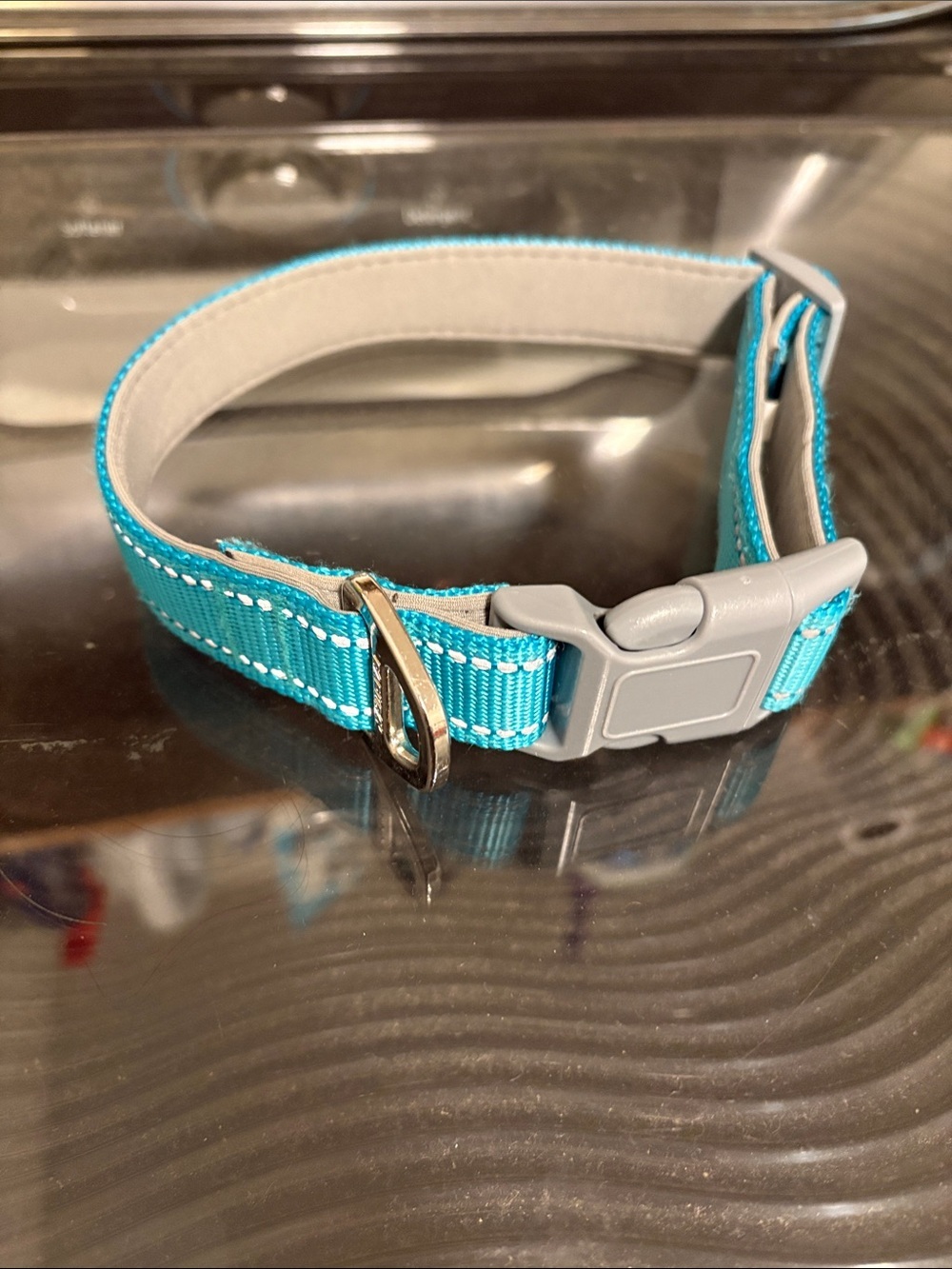 Teal Dog Collar  Clip Sz M